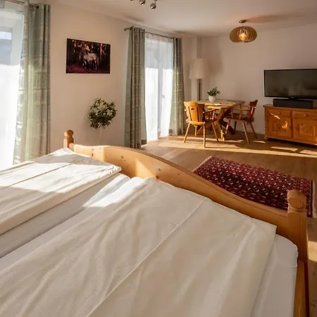 Apartment Up To 37 People - Your - Mountain